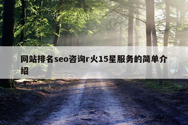 网站排名seo咨询r火15星服务的简单介绍