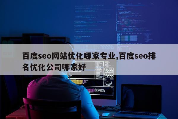 百度seo网站优化哪家专业,百度seo排名优化公司哪家好