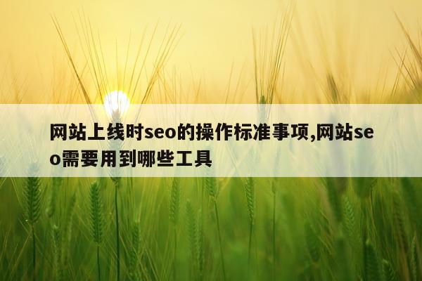 网站上线时seo的操作标准事项,网站seo需要用到哪些工具