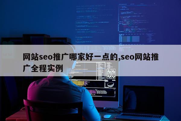 网站seo推广哪家好一点的,seo网站推广全程实例