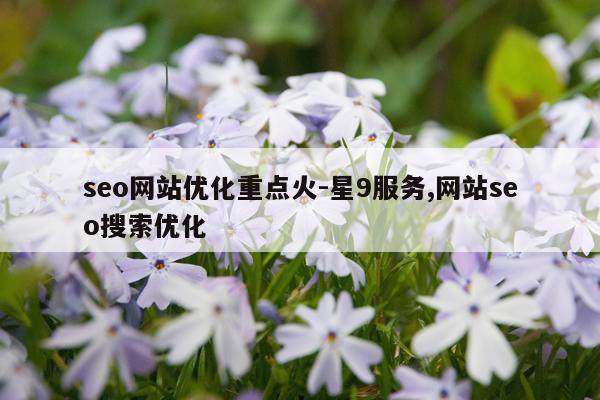 seo网站优化重点火-星9服务,网站seo搜索优化