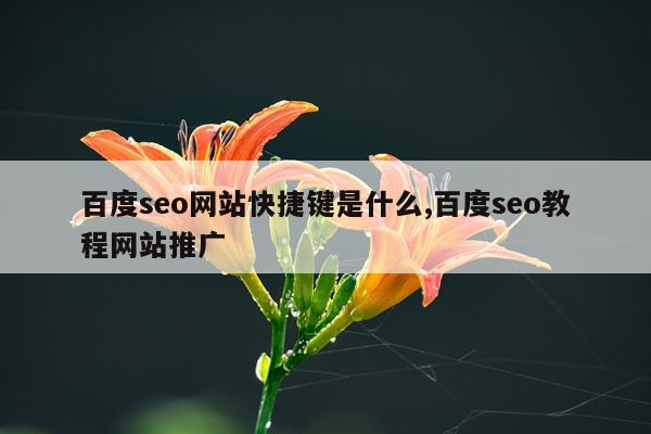 百度seo网站快捷键是什么,百度seo教程网站推广