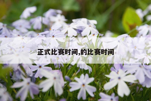 正式比赛时间,的比赛时间