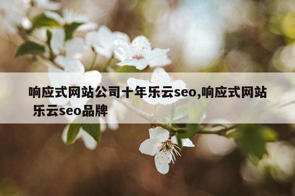 响应式网站公司十年乐云seo,响应式网站 乐云seo品牌