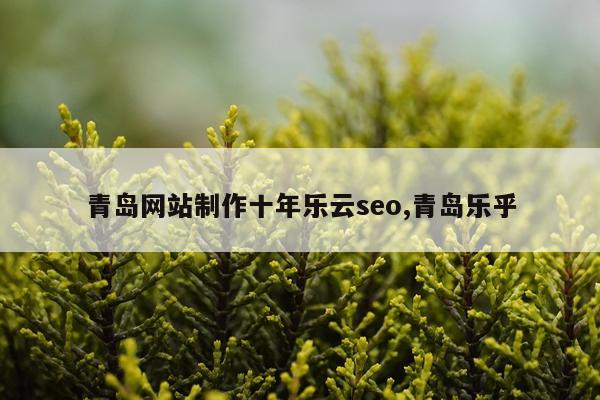 青岛网站制作十年乐云seo,青岛乐乎