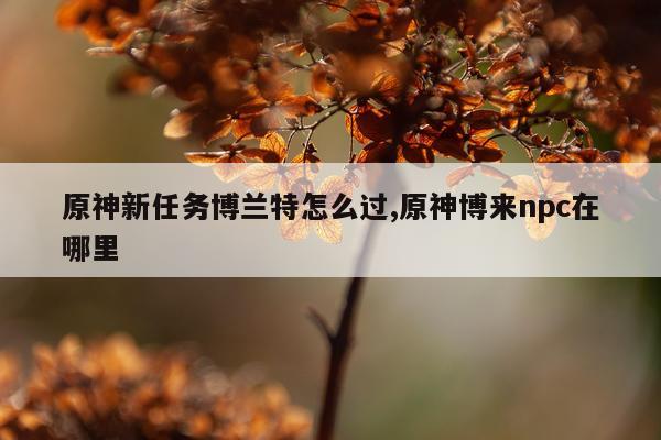 原神新任务博兰特怎么过,原神博来npc在哪里