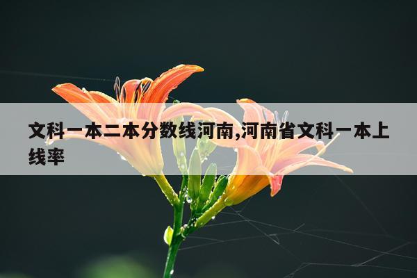 文科一本二本分数线河南,河南省文科一本上线率