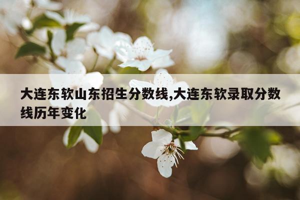 大连东软山东招生分数线,大连东软录取分数线历年变化
