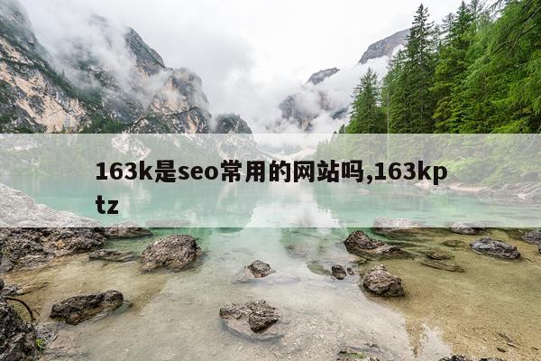 163k是seo常用的网站吗,163kptz