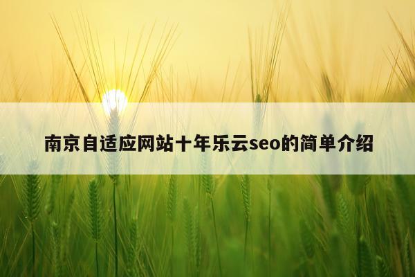 南京自适应网站十年乐云seo的简单介绍