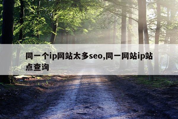 同一个ip网站太多seo,同一网站ip站点查询
