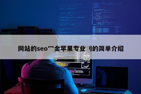网站的seo冖金苹果专业刂的简单介绍