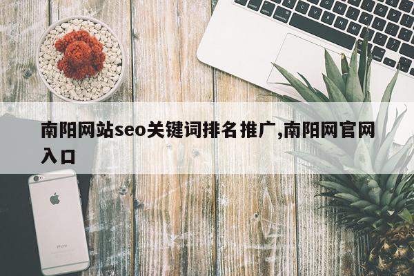 南阳网站seo关键词排名推广,南阳网官网入口