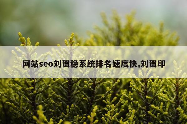 网站seo刘贺稳系统排名速度快,刘贺印