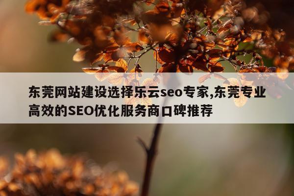 东莞网站建设选择乐云seo专家,东莞专业高效的SEO优化服务商口碑推荐