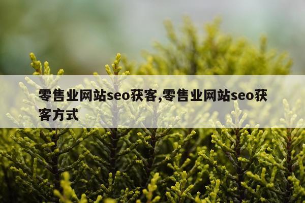 零售业网站seo获客,零售业网站seo获客方式