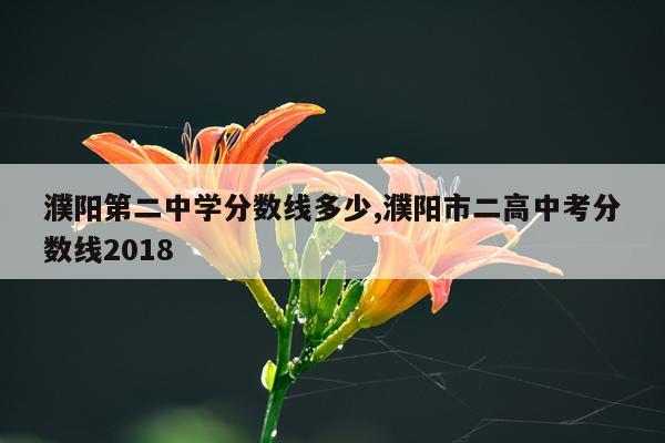 濮阳第二中学分数线多少,濮阳市二高中考分数线2018