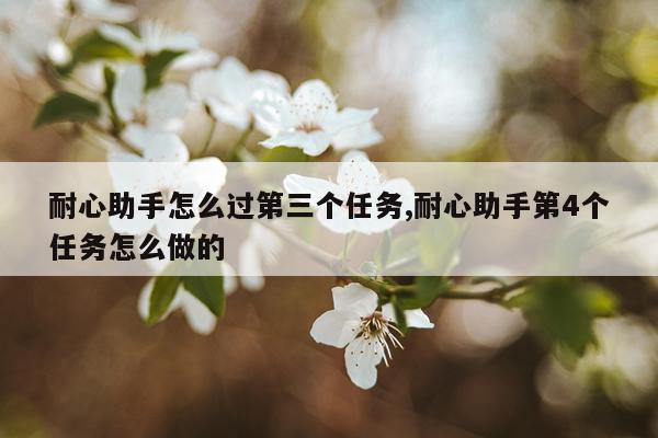 耐心助手怎么过第三个任务,耐心助手第4个任务怎么做的