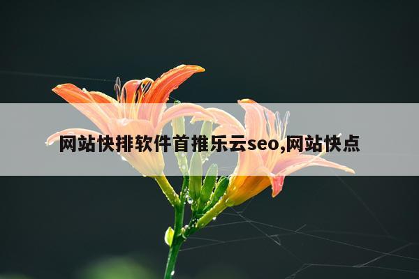 网站快排软件首推乐云seo,网站快点