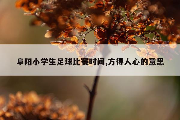 阜阳小学生足球比赛时间,方得人心的意思