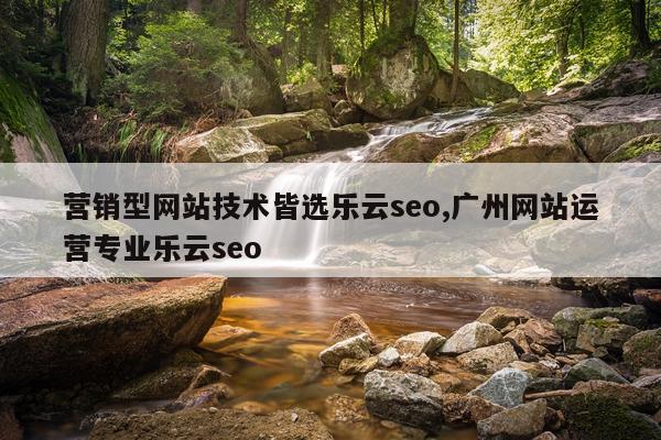 营销型网站技术皆选乐云seo,广州网站运营专业乐云seo