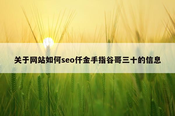 关于网站如何seo仟金手指谷哥三十的信息