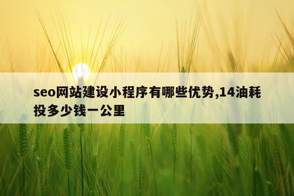 seo网站建设小程序有哪些优势,14油耗投多少钱一公里