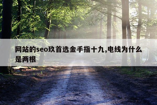 网站的seo玖首选金手指十九,电线为什么是两根