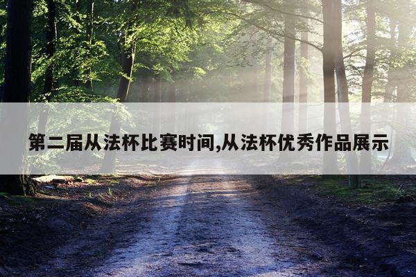 第二届从法杯比赛时间,从法杯优秀作品展示
