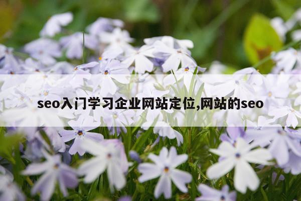 seo入门学习企业网站定位,网站的seo
