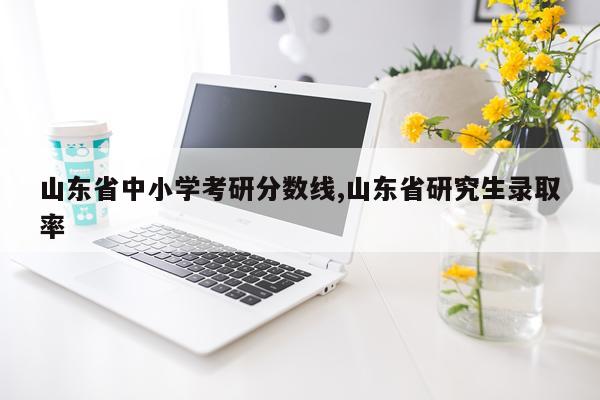 山东省中小学考研分数线,山东省研究生录取率