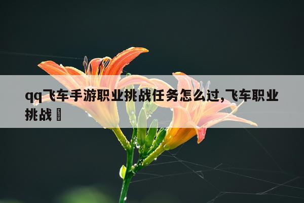 qq飞车手游职业挑战任务怎么过,飞车职业挑战劵