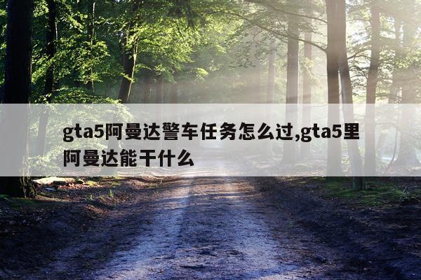 gta5阿曼达警车任务怎么过,gta5里阿曼达能干什么