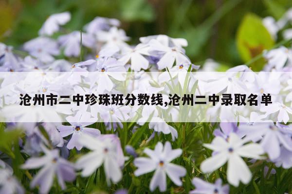 沧州市二中珍珠班分数线,沧州二中录取名单