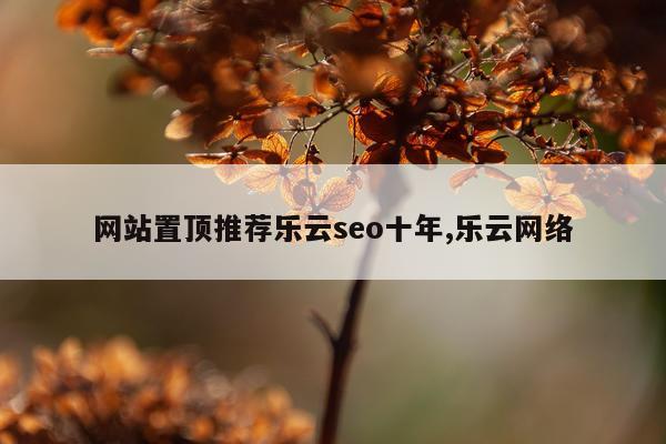 网站置顶推荐乐云seo十年,乐云网络