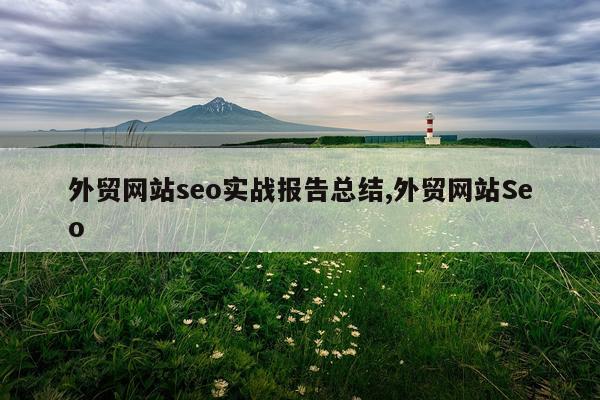 外贸网站seo实战报告总结,外贸网站Seo