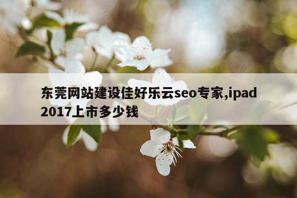 东莞网站建设佳好乐云seo专家,ipad2017上市多少钱