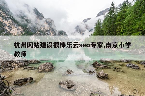 杭州网站建设很棒乐云seo专家,南京小学教师