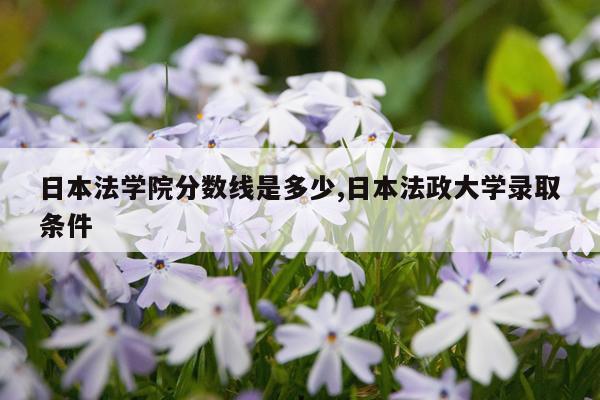 日本法学院分数线是多少,日本法政大学录取条件