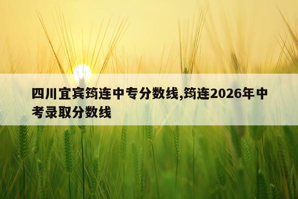 四川宜宾筠连中专分数线,筠连2026年中考录取分数线