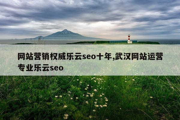 网站营销权威乐云seo十年,武汉网站运营专业乐云seo
