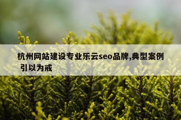 杭州网站建设专业乐云seo品牌,典型案例 引以为戒