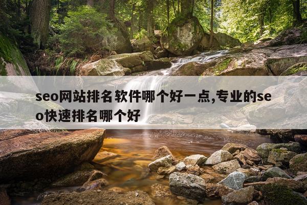 seo网站排名软件哪个好一点,专业的seo快速排名哪个好