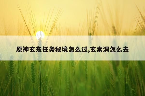原神玄东任务秘境怎么过,玄素洞怎么去