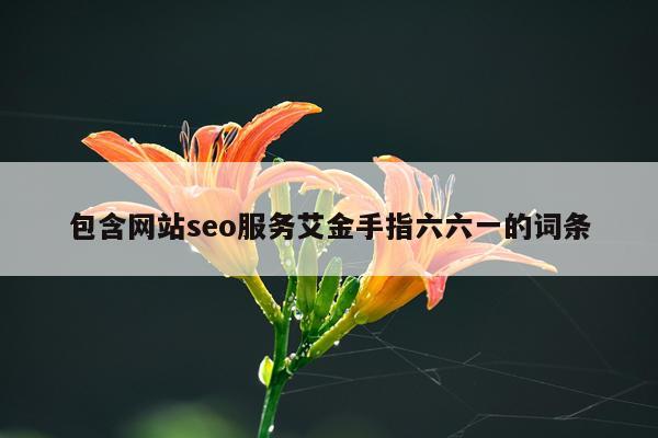 包含网站seo服务艾金手指六六一的词条