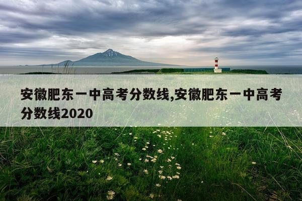 安徽肥东一中高考分数线,安徽肥东一中高考分数线2020
