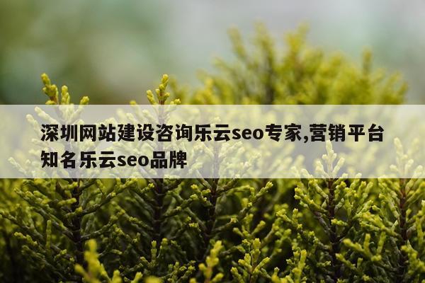 深圳网站建设咨询乐云seo专家,营销平台知名乐云seo品牌