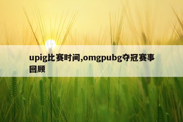 upig比赛时间,omgpubg夺冠赛事回顾