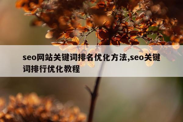 seo网站关键词排名优化方法,seo关键词排行优化教程