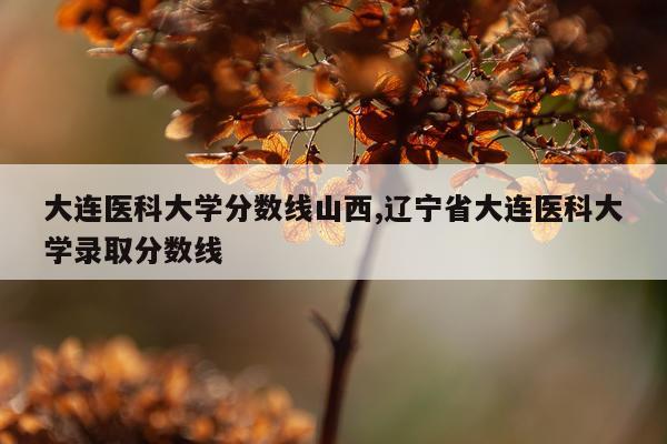大连医科大学分数线山西,辽宁省大连医科大学录取分数线
